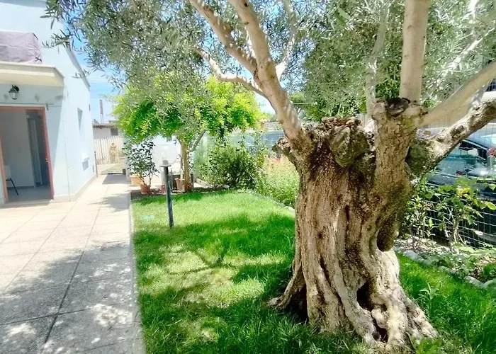 Apartman